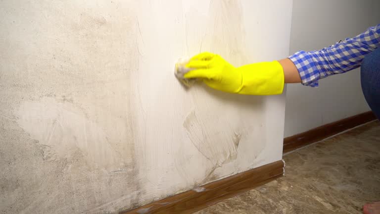 Best HVAC Mold Inspection and Cleaning  in Sea Isle City, NJ